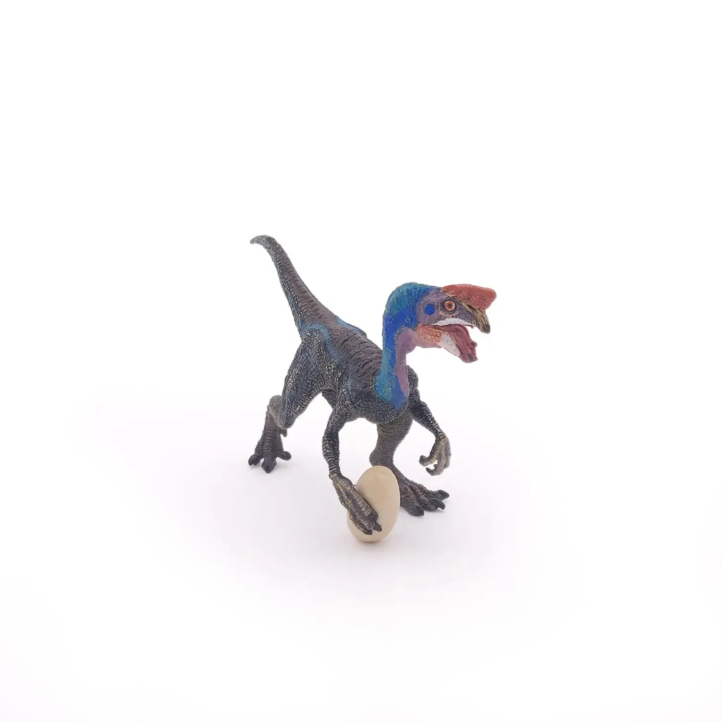 Blue Oviraptor