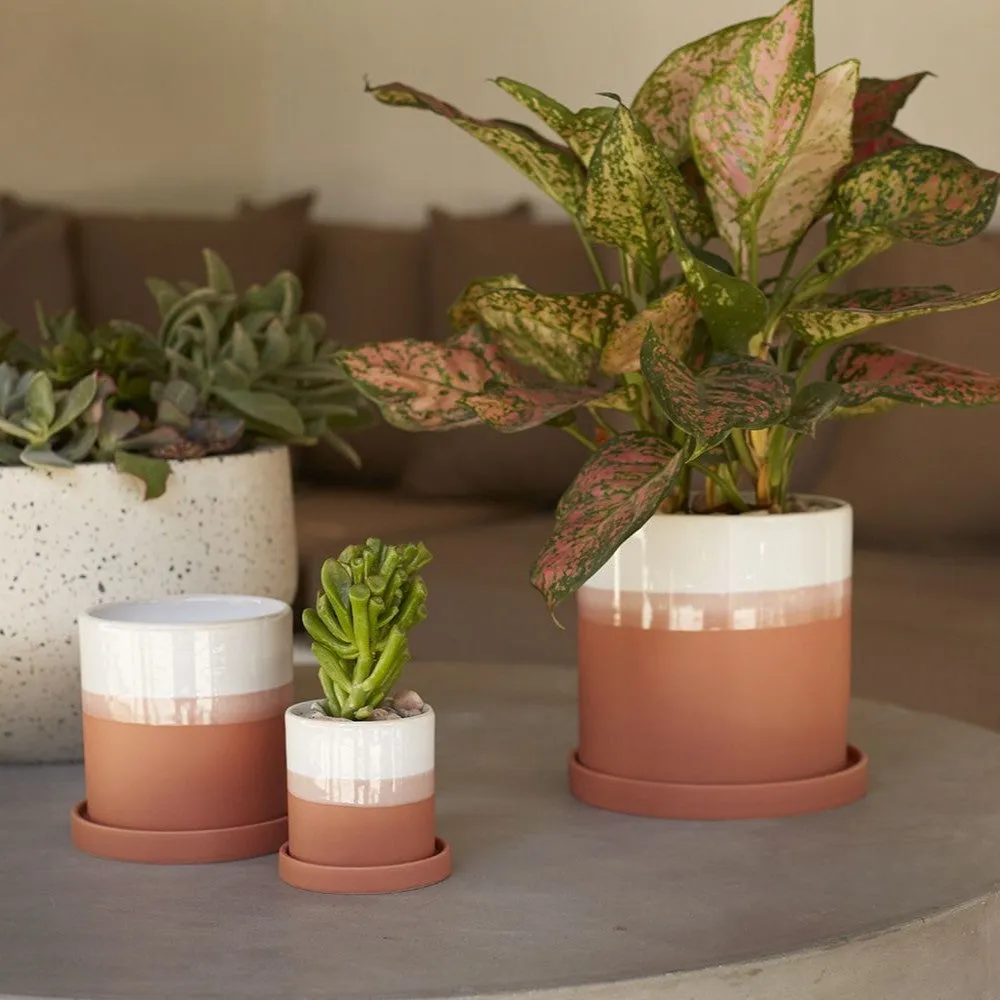 Hadley Pot (Large)