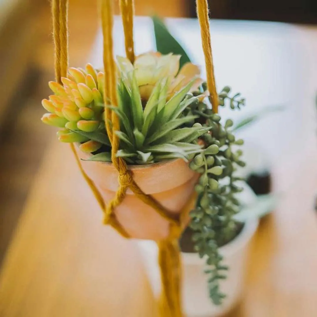 Mini Flourish Plant Hanger