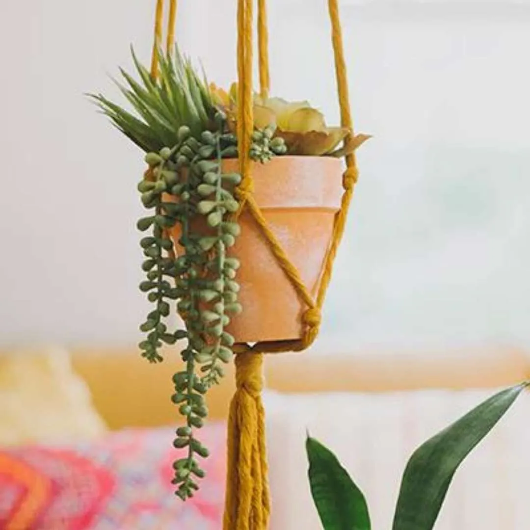 Mini Flourish Plant Hanger