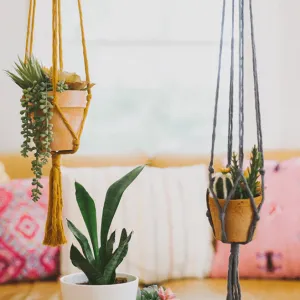 Mini Flourish Plant Hanger