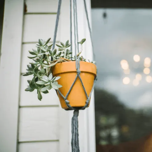 Mini Flourish Plant Hanger